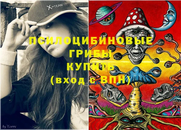 амф Алексин