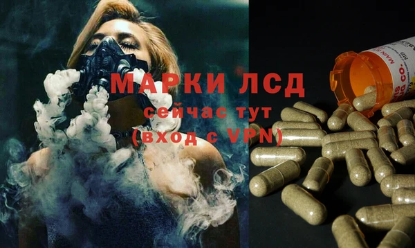молекула духа Алзамай
