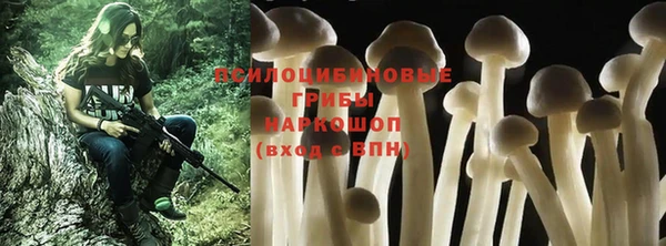 молекула духа Алзамай
