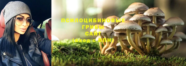 молекула духа Алзамай