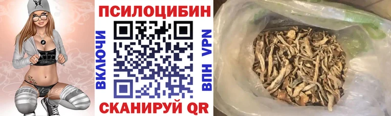 сколько стоит  Калининск  Псилоцибиновые грибы Psilocybine cubensis 